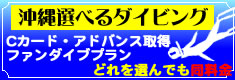 【ショート】選べるダイビング