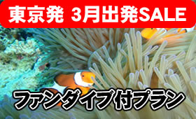【3月出発限定ＳＡＬＥ】東京羽田空港発の方限定でスイマセン！ANAで行くダイビング特集