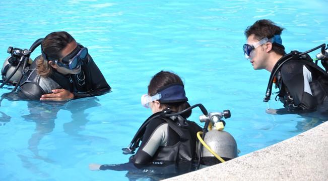 ダイビングライセンスを取得したい方必見☆予算・季節別徹底ガイド！