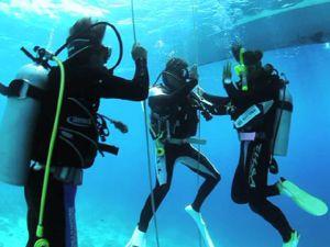 セブ島・ライセンス取得ツアー<br>ブルーコーラル指定