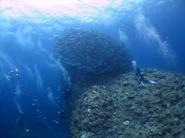 aguniisland_diving1.jpg