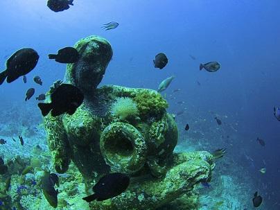 ceb_mactan_island_diving5.jpg