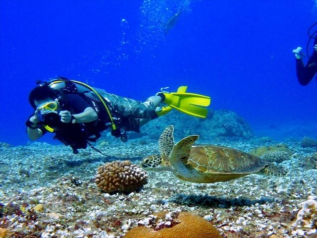 guam_diving1.jpg