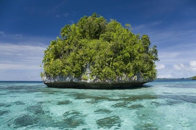 palau_rock_R.JPG