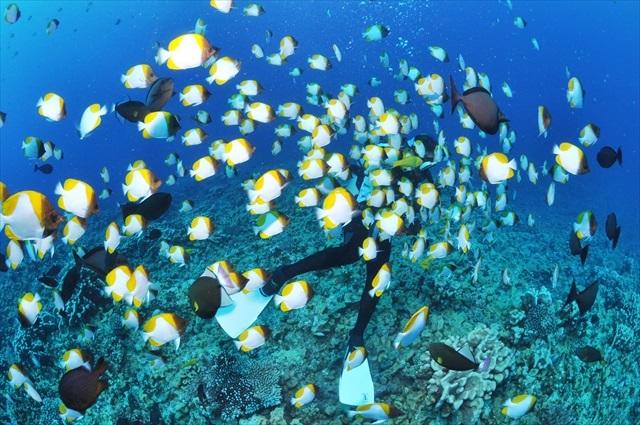 saipan_diving.jpg