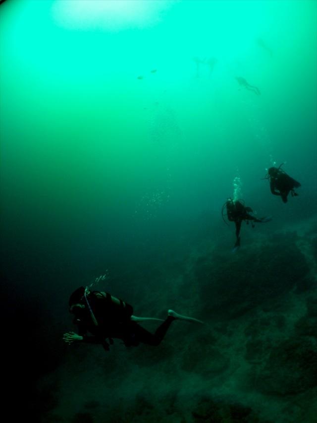 spring_miyakoisland_diving2.jpg