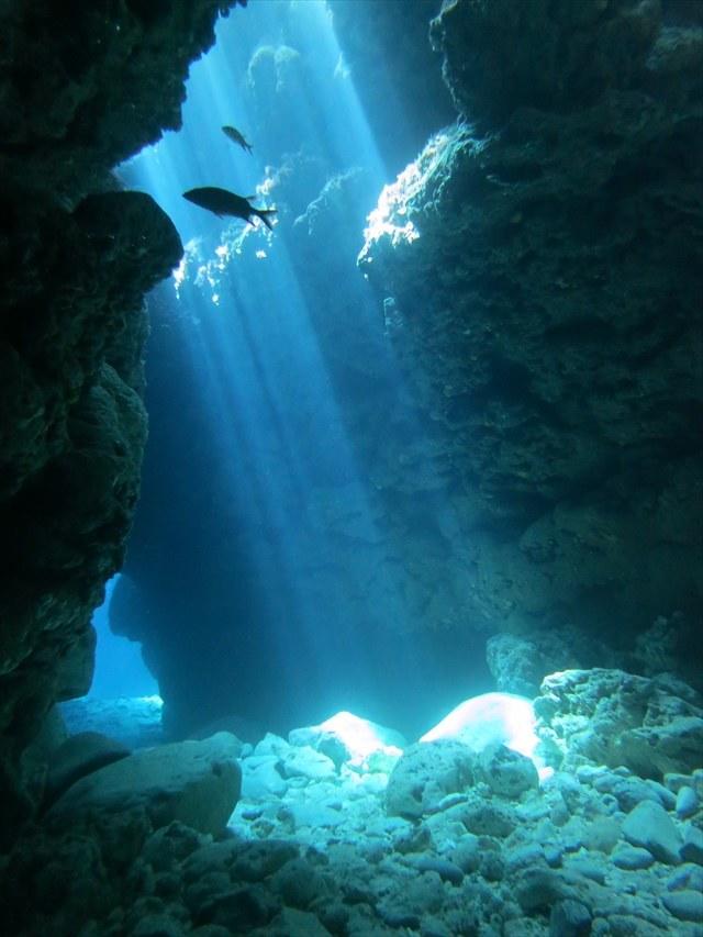 tokashikiisland_diving5.JPG