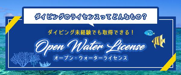 ダイビング未経験でも取得できる！オープンウォーターライセンス！