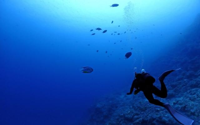 到着日ダイブ付きツアー