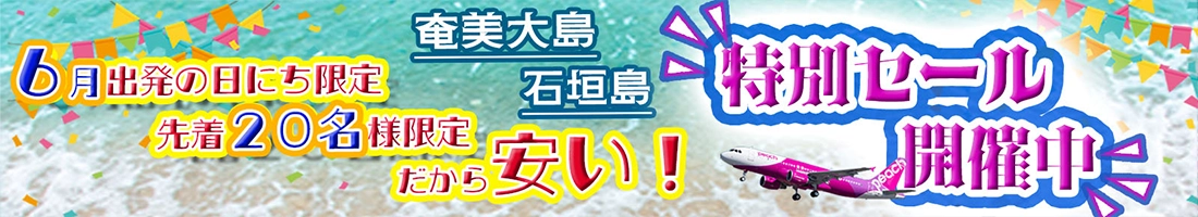 緊急開催！6月日付限定＆20名限定でダイビングツアーが大特価！