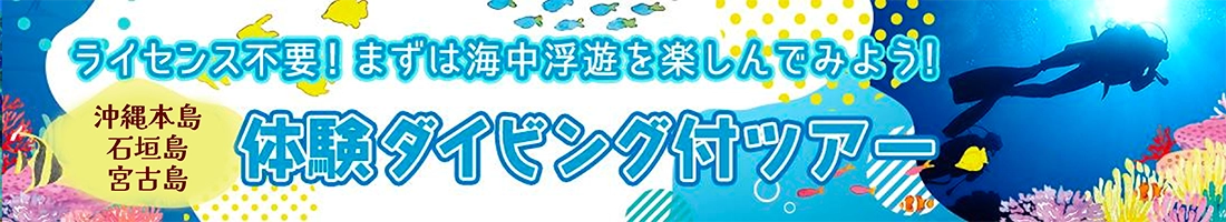 >美しい海の中覗いてみませんか？ライセンス不要の体験ダイビング付ツアー！