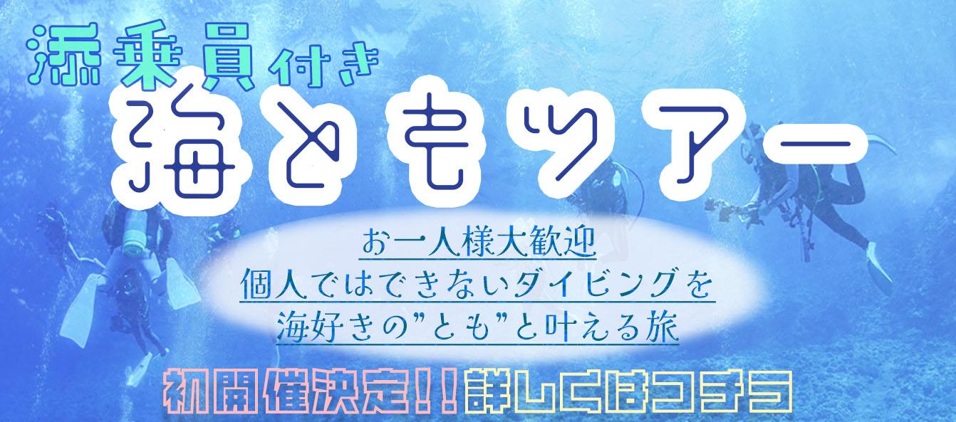 一人参加OK！添乗員付き募集型『海ともツアー』