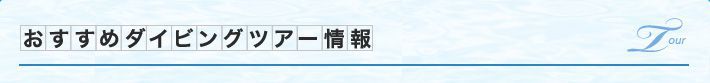 おすすめダイビングツアー情報