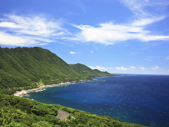 世界自然遺産「屋久島」ダイビングツアーの魅力！
