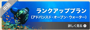 ランクアッププラン