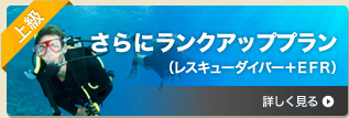 さらにランクアッププラン