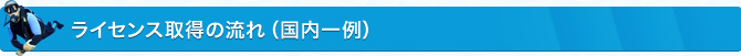 ライセンス取得の流れ（国内一例）