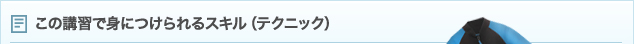 この講習で身につけられるスキル（テクニック）