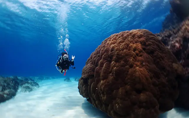 沖永良部島