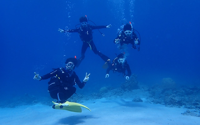 沖縄本島のオープンウォーター・ダイバー取得ツアーを探す