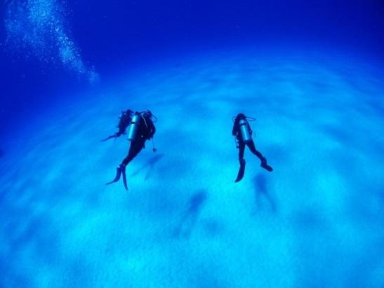 ロタ島 ダイビング魅力 世界有数のクリアな海