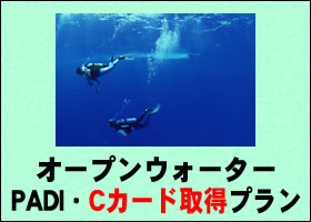 格安で行っちゃおう石垣！往復経由便利用石垣島でダイビング特集