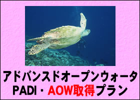 格安で行っちゃおう石垣！往復経由便利用石垣島でダイビング特集