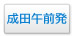 成田夜発