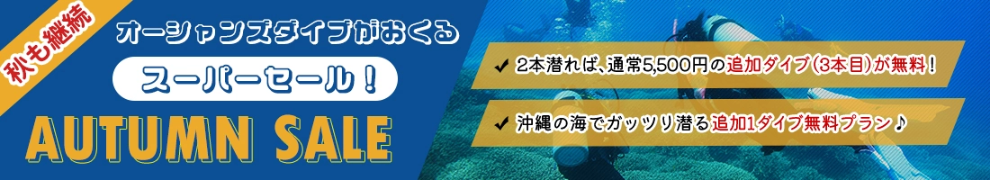 夏のスーパーセール！追加1ダイブ無料プラン