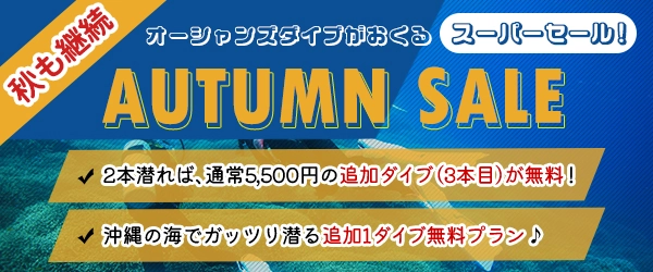 夏のスーパーセール！追加1ダイブ無料プラン