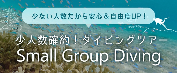 少人数確約！おすすめダイビングツアー