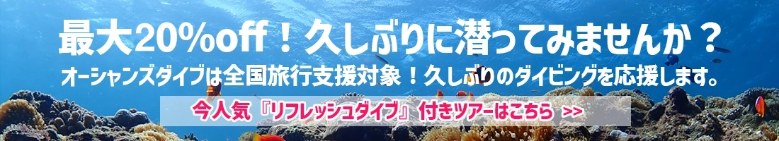 あなたの苦手に寄り添う「リフレッシュダイブ」付きツアー