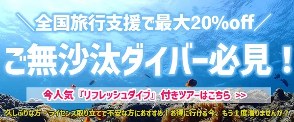 あなたの苦手に寄り添う「リフレッシュダイブ」付きツアー