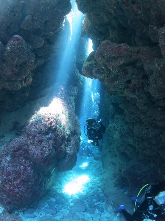 慶良間諸島 ダイビングポイント 灯台下≪渡嘉敷島≫ 人気の地形ポイント