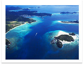 ダイビング座間味島・阿嘉島の海